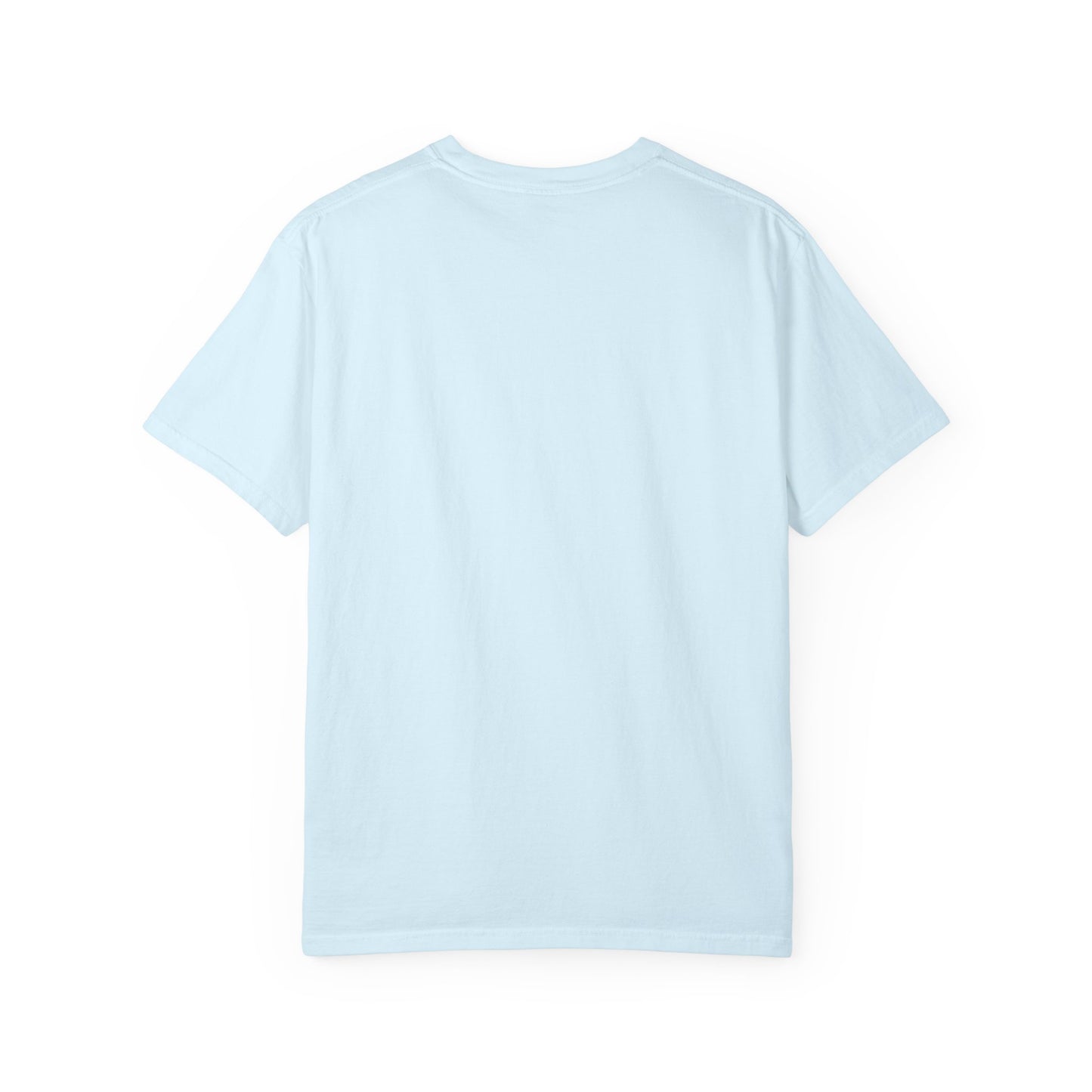 Still Not Taking Suggestions 250th Anniversary Tee