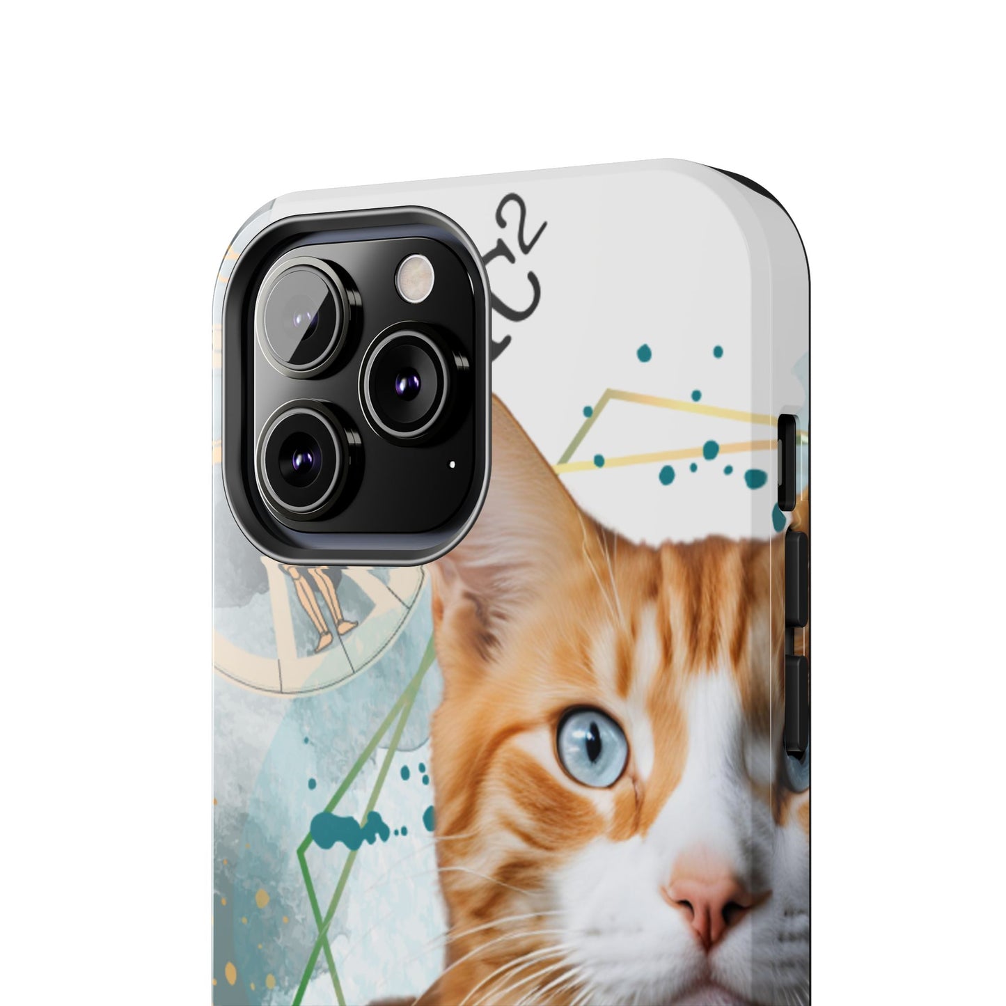 E=MC2 Cat Tough Phone Cases Just Gigi IFYKYK