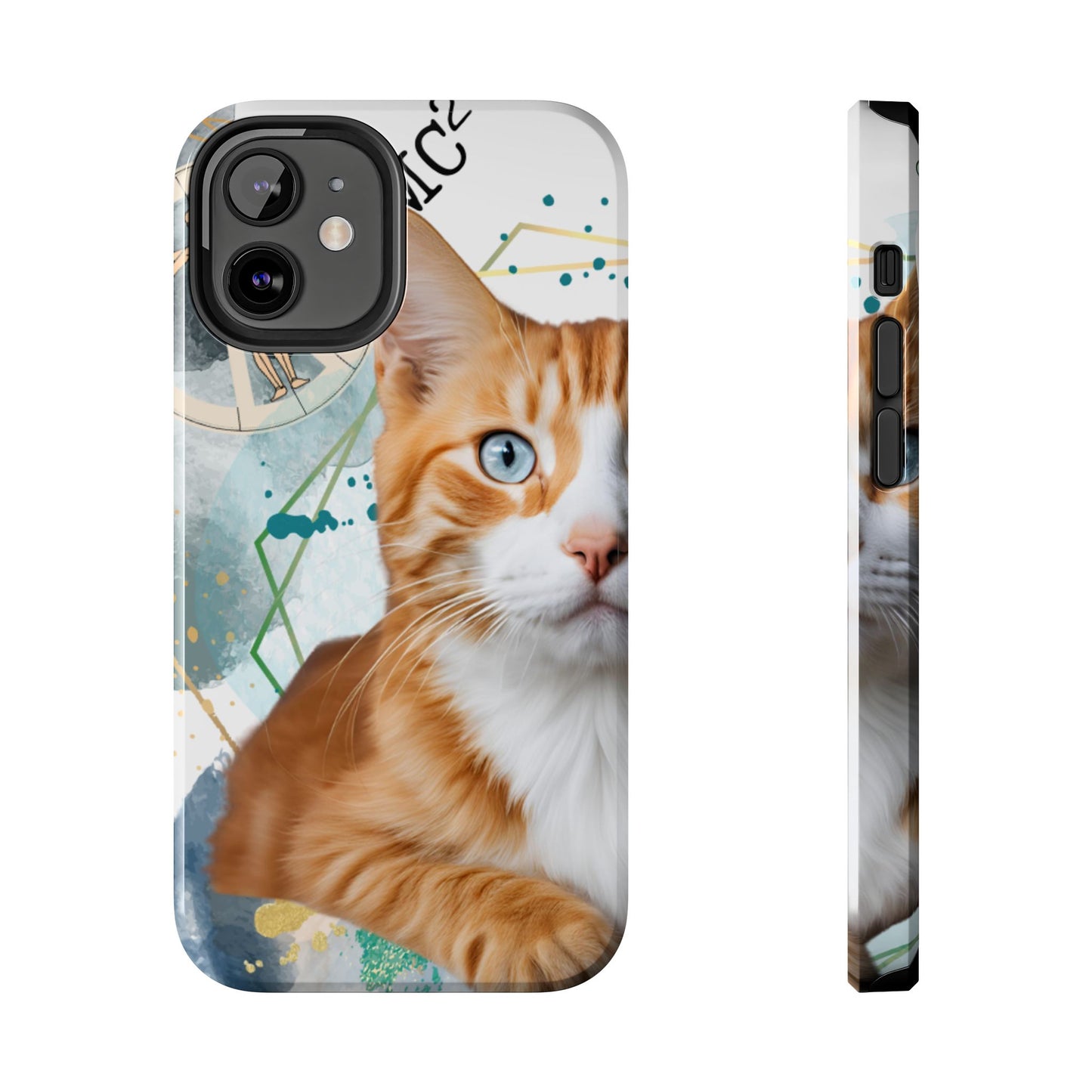 E=MC2 Cat Tough Phone Cases Just Gigi IFYKYK