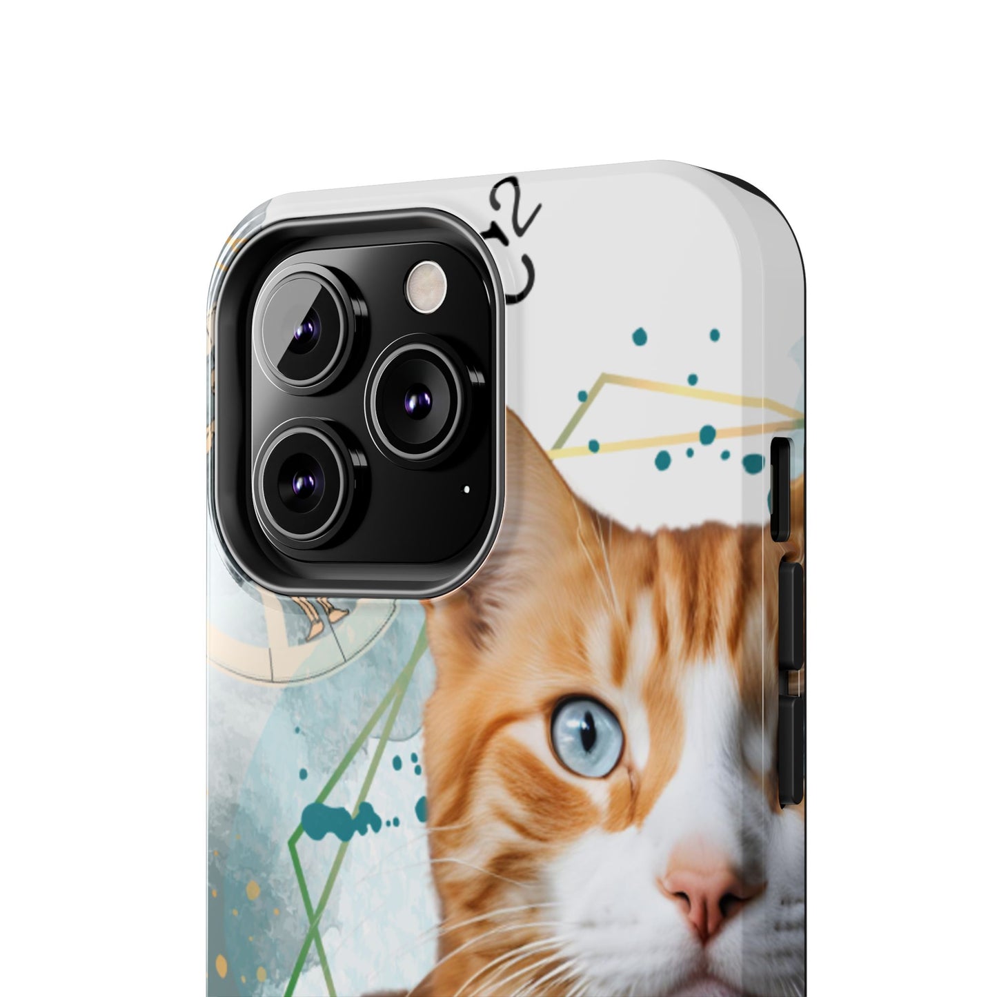 E=MC2 Cat Tough Phone Cases Just Gigi IFYKYK