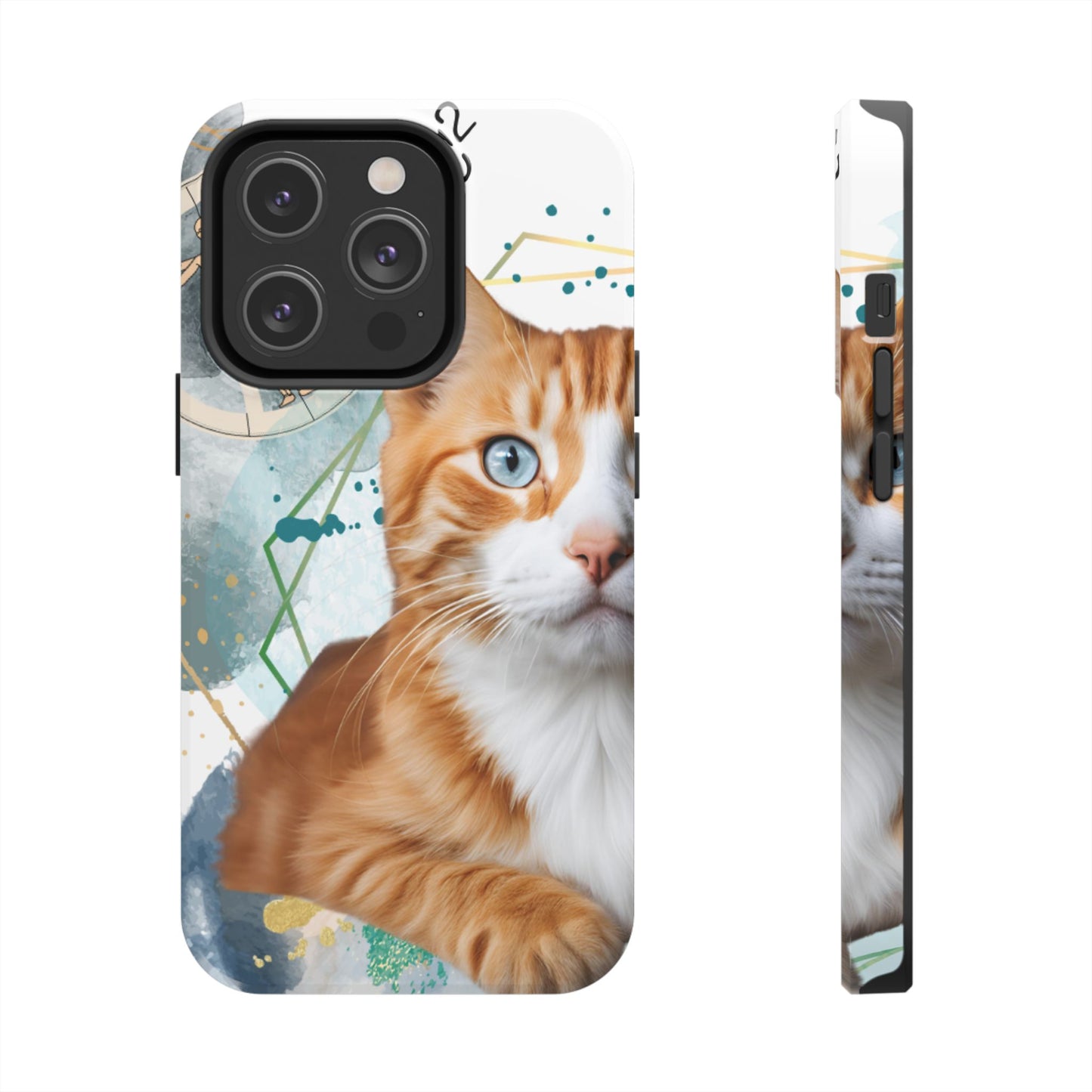E=MC2 Cat Tough Phone Cases Just Gigi IFYKYK